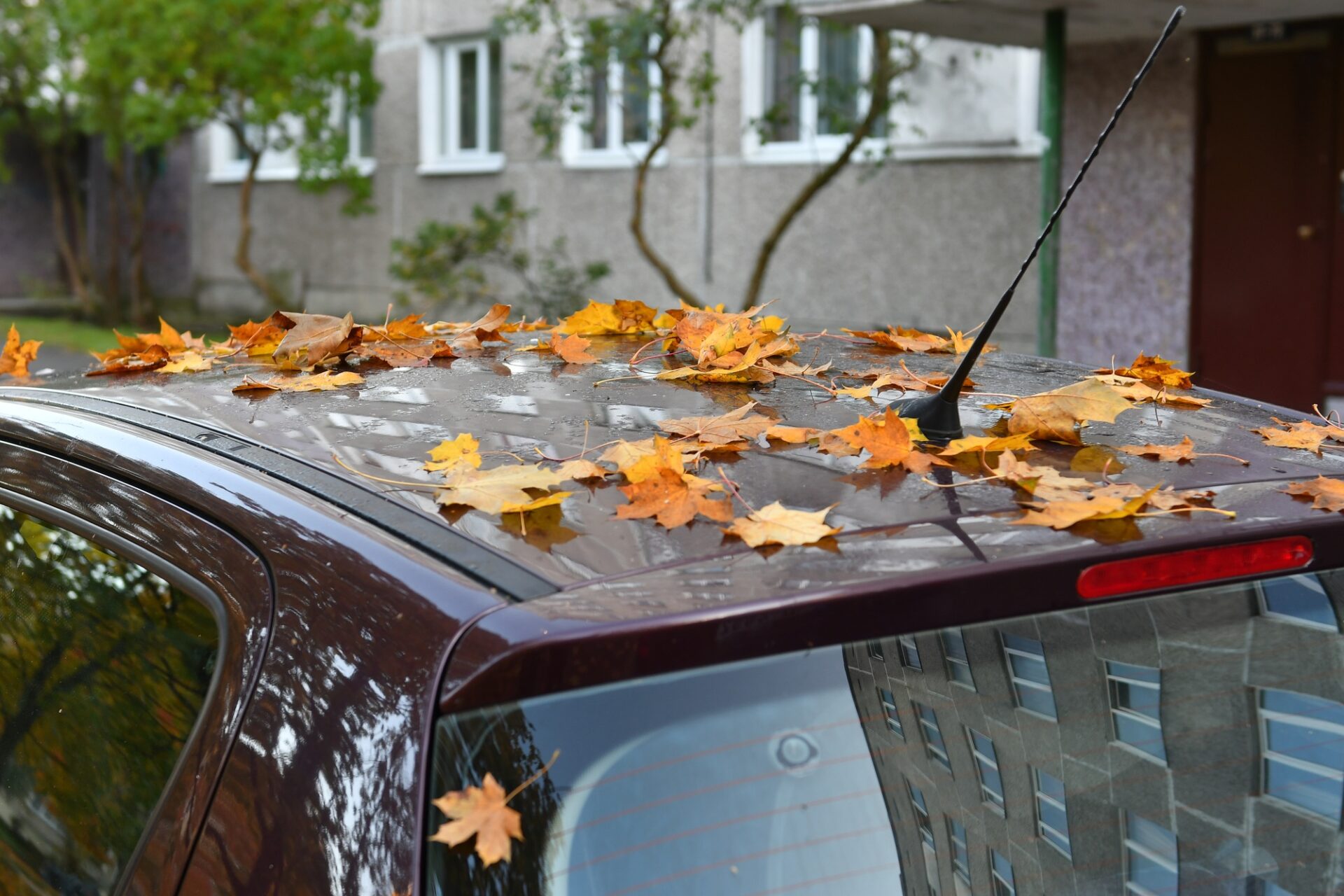 feuilles d'automne colorées sur le toit d'une voiture garée, automne, saison, véhicule, jaune, automne, feuillage, voiture, orange, météo, automobile, feuille, nature, extérieur, froid, rue, toit, naturel, transport, érable, couverture, noir, fenêtre, saisonnier, arbre, octobre, humide, auto, arrière