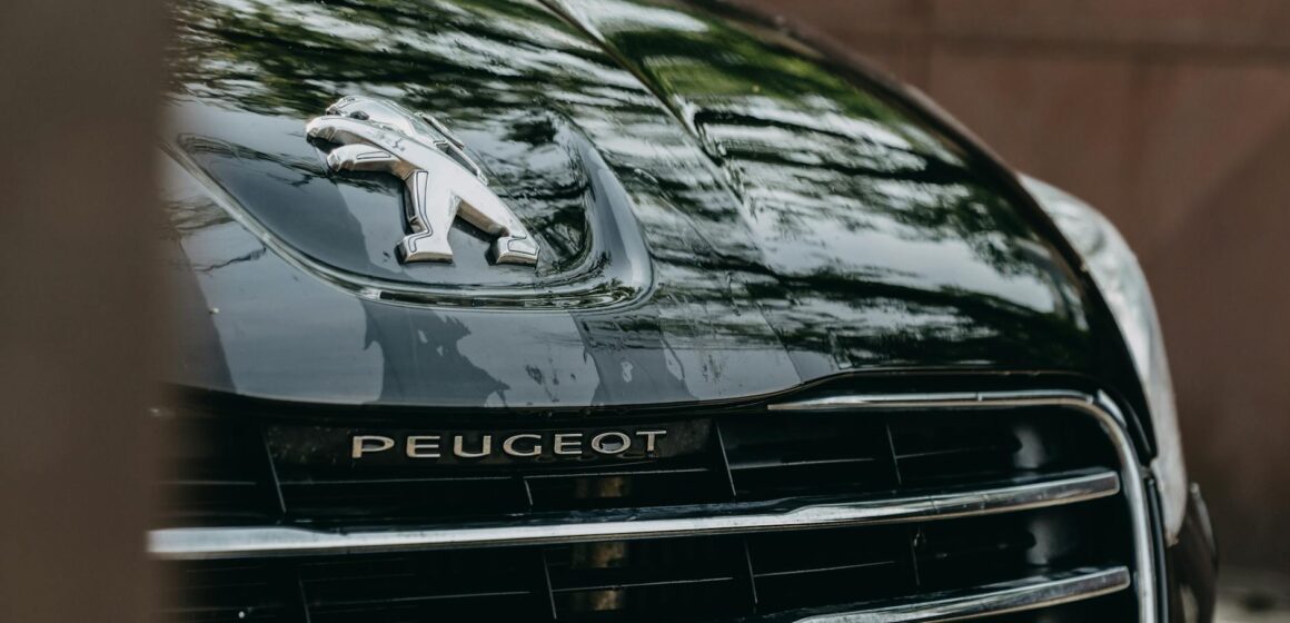 peugeot-206 Disponible détaillé d'un capot de voiture Peugeot mettant en vedette le logo brillant et la calandre noire.