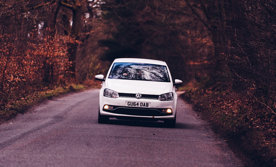 Volkswagen blanc et noir T-1 sur la route pendant la journée