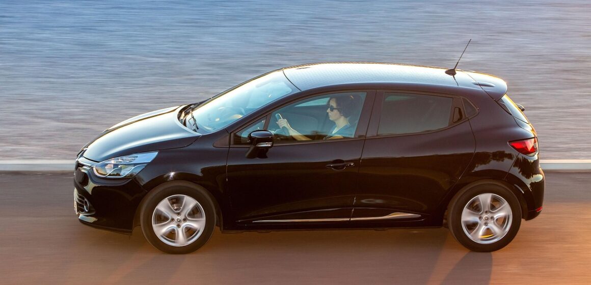 Clio-2-2 renard