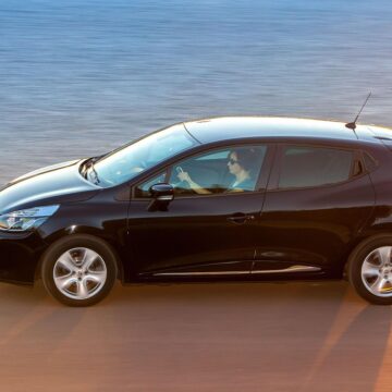 Clio-2-2 renard